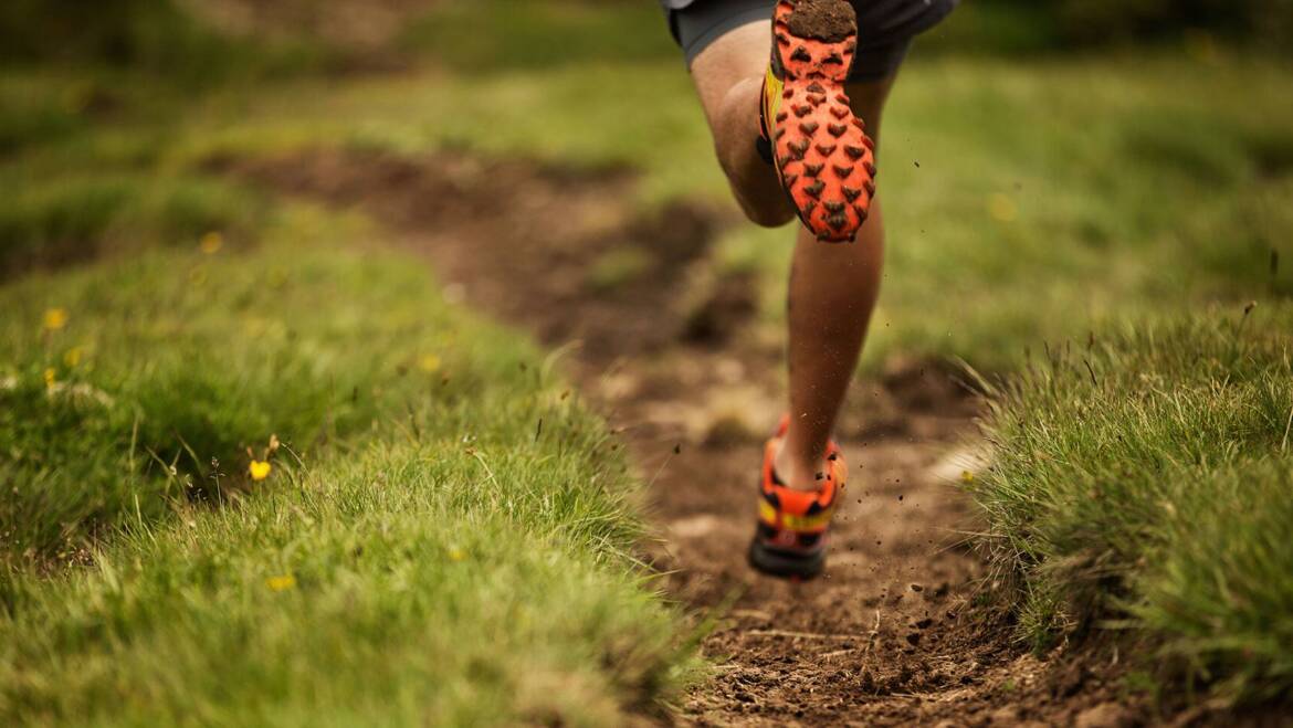 Trail Running Club in Chichester West Sussex Karibu Trail Running